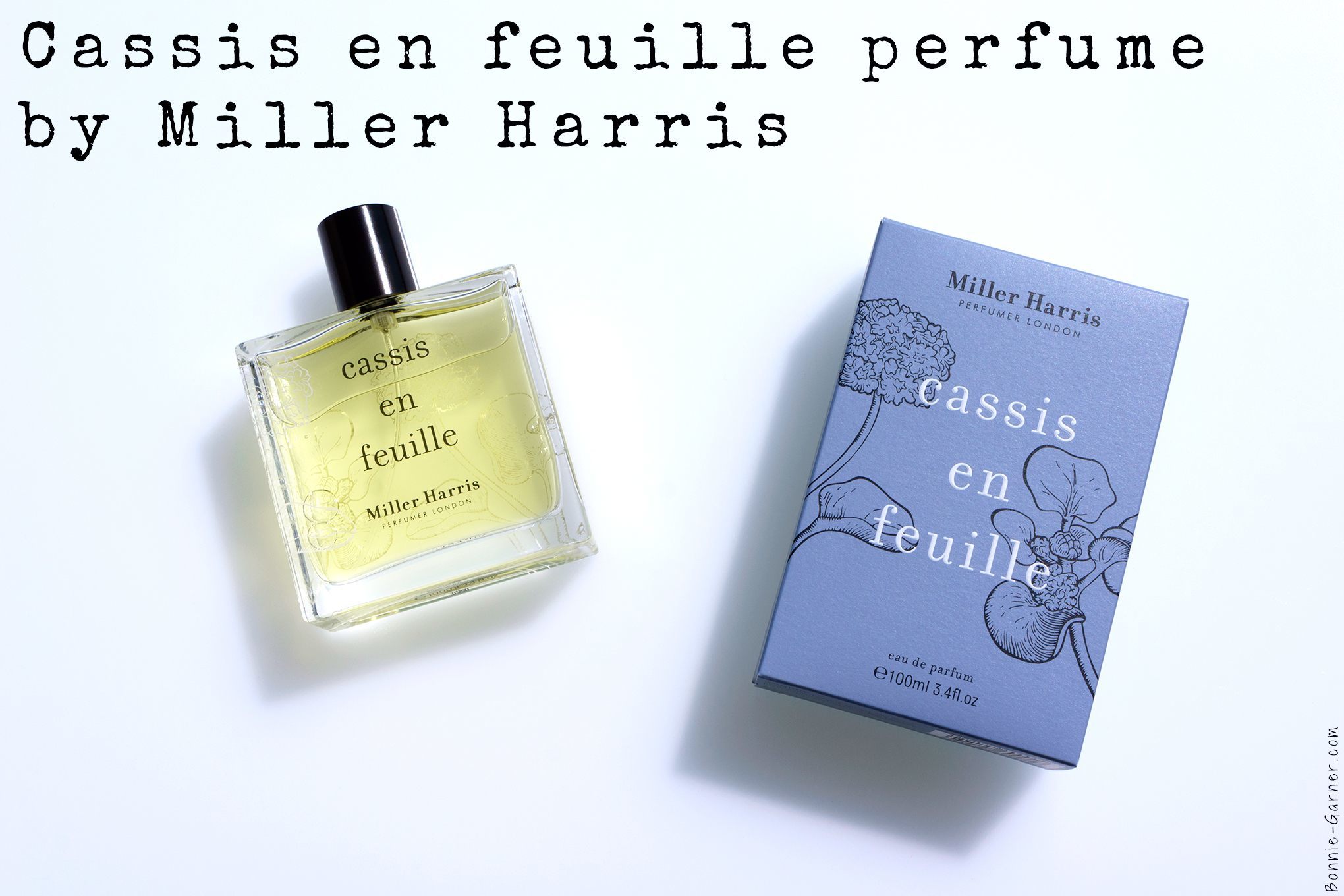 Cassis en feuille perfume by Miller Harris
