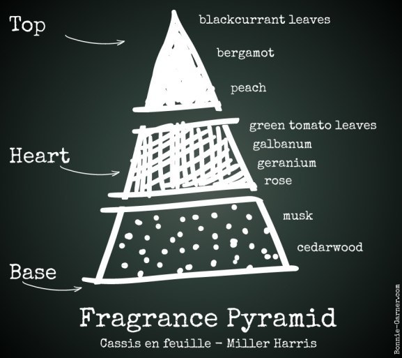 Fragrance Pyramid: Cassis En Feuille - Miller Harris